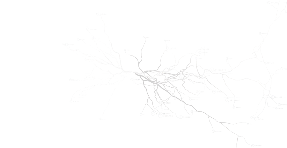 Neural network of nerve roots