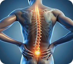 Spinal pain illustration