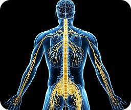 Nerve pain illustration